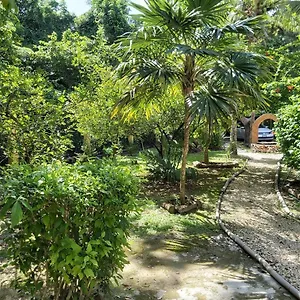 mini-pini-bird-watching-loft.quintano-roohotels.com/